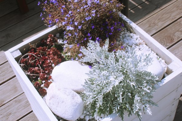 Как попасть на кракен