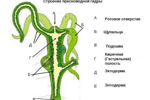 Как зайти на кракен с айфона