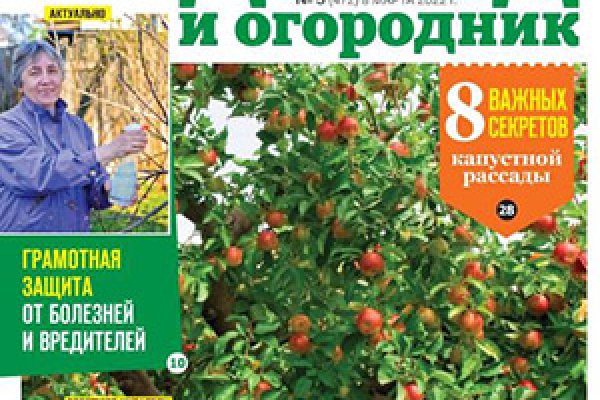 Ссылка на кракен даркнет